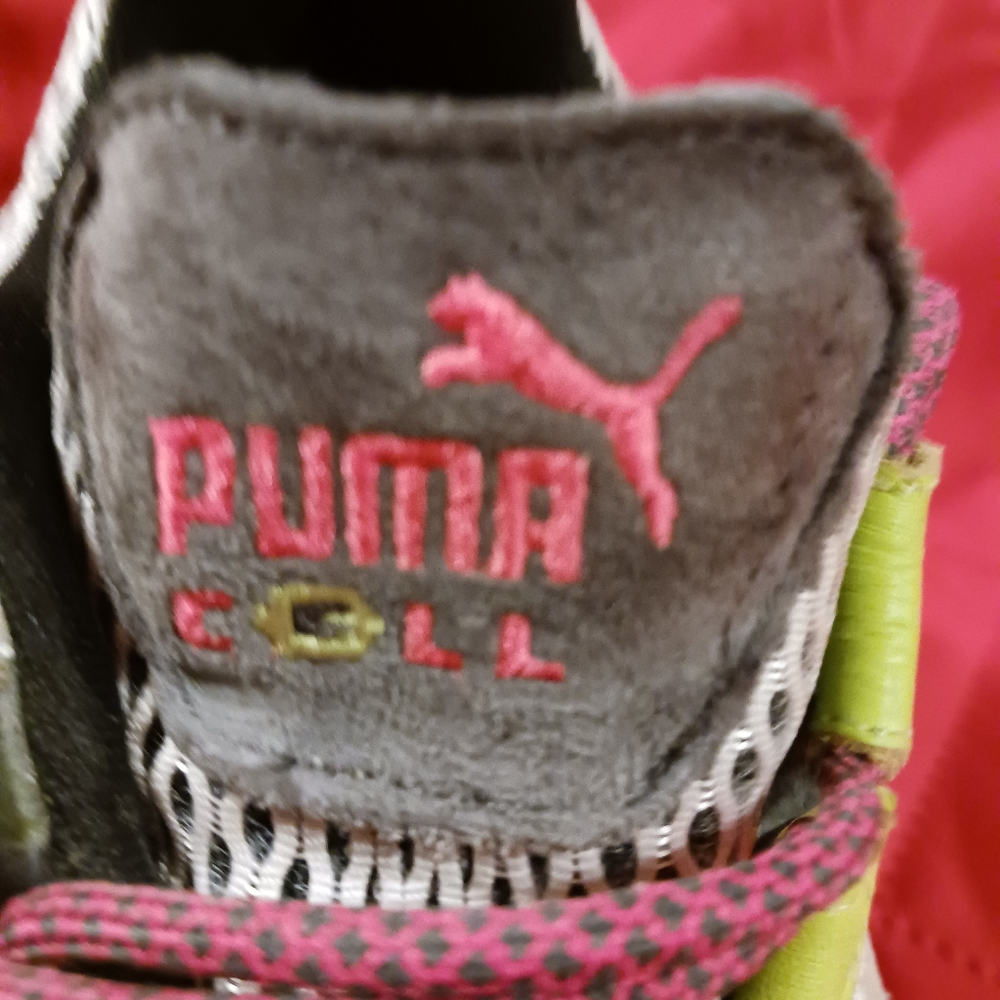 Puma cell
